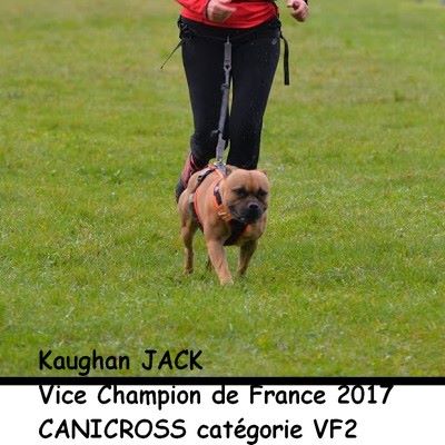 of Kaughan - Grand Prix de France Canicross